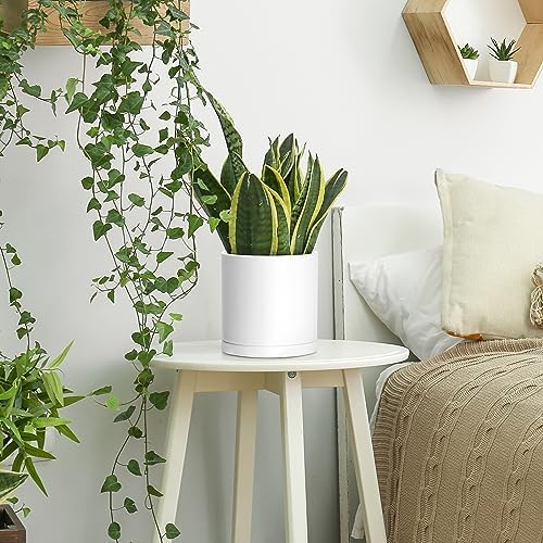 D'vine Dev 2-Pack White Plastic Planters with Saucers, 6.5 in, 74-Z-L-1 - Image 3