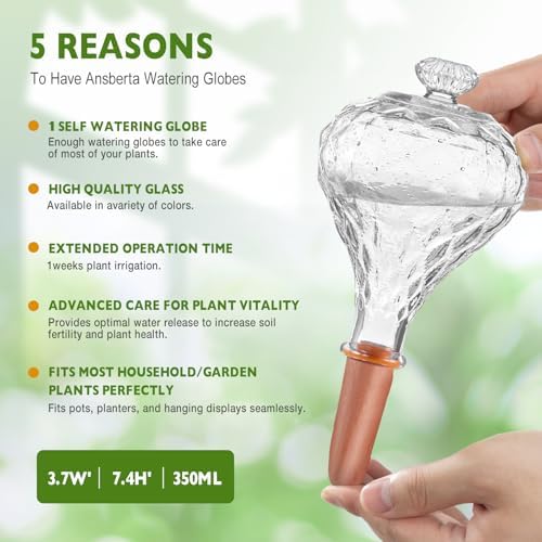 12 oz Plant Watering Globes, Clear Glass Self Watering Bulbs Top Fill with Terracotta Spikes Stake, Self Watering Planter Insert Vacation Automatic Plant Waterer Device for Indoor & Outdoor 2Pack - Image 3