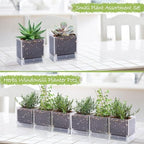 D'vine Dev 6-Pack Acrylic Herb Planter Pots, 4 in, Clear, 76-Y-D-1 - Image 3