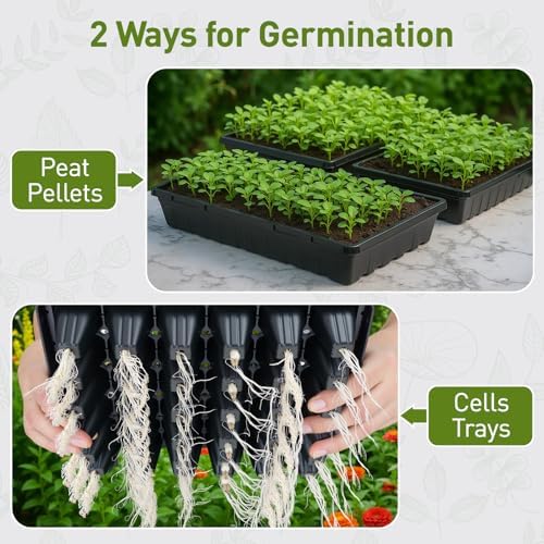ZJP 5-Pack Seed Starter Trays Set – Includes 1020 Trays (No Holes) + 72-Cell Deep Plug Trays (2.44" Deep) + 5" Clear Humidity Domes for Vegetables, Herbs, Flowers - Image 6
