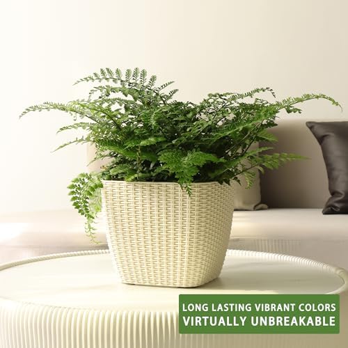 Dexceder 9x8 Self Watering Planter (Ivory White Rattan) - Image 6