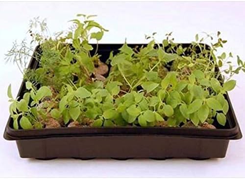 10" x 10" Garden Growing Trays with Drain Holes - 10-pack Recyclable Plastic Plant Trays for Wheatgrass Sprouting Tray, Microgreens Growing Trays, Hydroponic Trays, Nursery Flats, Greenhouse Supplies - Image 5