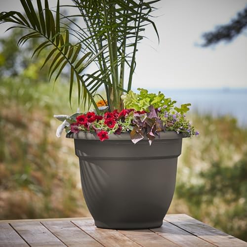 Bloem Ariana 16" Plastic Self-Watering Planter, Peppercorn, 2-Pack - Image 2