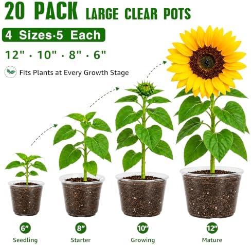 Bluepro Clear Nursery Pots with Drainage Holes, 6/8/10/12 Inch, 20-Pack - Image 6