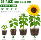 Bluepro Clear Nursery Pots with Drainage Holes, 6/8/10/12 Inch, 20-Pack - Image 6