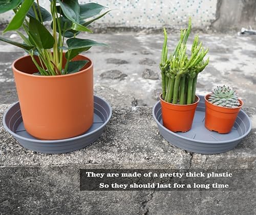 LWALRS Plant Saucer 14 Inch 4 Pack 6 8 10 12 14 16 18 20 25, Plastic Plant Trays for Pots，Extra-Deep Plant Water Dray Tray, Bird Bath Bowl, Heavy Flower Plant Saucers Indoors and Outdoor No Holes - Image 5