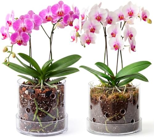 5/6 Inch Clear Acrylic Orchid Planter Pot with 360° Round Holes & Tray by Yiyiring