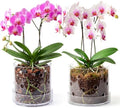 5/6 Inch Clear Acrylic Orchid Planter Pot with 360° Round Holes & Tray by Yiyiring