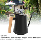 1L Watering Can Indoor Plants, Stainless Steel Watering Can Plant Waterer with Long Spout and Wood Handle for House Bonsai Garden Flower Decorative (Matte Black) - Image 2