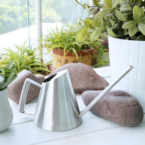 Stainless Steel Watering Can Vintage 900ml Long Spout for Flowers - Image 4