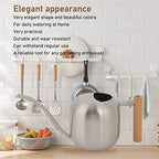 Tyenaza Watering Can Indoor Plants, 1200ML Multipurpose High Capacity Stainless Steel Watering Pot with Long Spout for Indoor Outdoor Plants (Silver) - Image 3