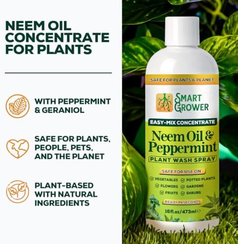 Neem Oil Spray for Plants with Peppermint Oil. Indoor & Outdoor Plant Use - Image 2
