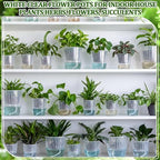 Self Watering Plant Pots, 5.1''/6.6''/7.2'', Transparent, 18 Pcs - Image 6
