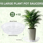 Clear Plant Saucer 16 inch Large Plant Drip Trays for Indoor outdoor plants - Image 5