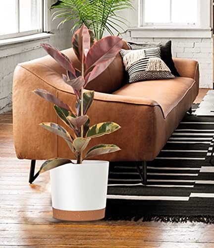 kubvici Plant Pots for Indoor Plants, 2 Pack 10 Inch Plant Pot Plastic Flower Pots Planters with Drainage Saucer for Indoor Outdoor Garden Home (10" White) - Image 6