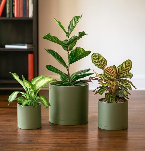 D'vine Dev 3-Pack Plastic Pots & Saucers, 6.5/8/10 in, Olive, 74-V-I-4 - Image 6