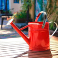 Metal Watering Can 1 Gallon for Indoor and Outdoor Plants Red by Unknown