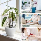 6 Pack Plant Watering Globes with Covers 17oz Self Watering Planter Insert, Plastic Water Bulbs, Indoor/Outdoor Plant Watering Devices for Automatic Drip Irrigation - Image 6