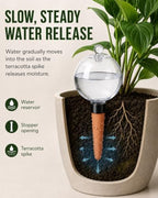 2 Pack Extra Large Plant Self Watering Globes, 26oz Automatic Waterer Bulbs - Image 5
