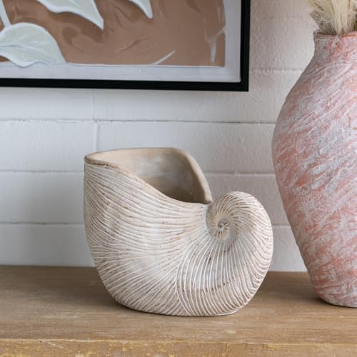 Nautilus Shell Planter, 11.5 Inch, Textured Beige Finish by Noeko