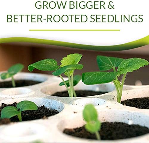 Park Seed Bio Dome Seed Starter Kit with 60 Cell Planting Block, Base Tray, Humidity Dome & 60 Bio Sponges - Image 6