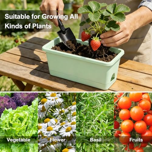 Oliz Window Box Planter 6 Packs, 13.8 Inches Rectangle Flower Pots with Drainage Holes & Trays, Pots for Vegetables, Herbs, Flowers, Garden Windowsill Balcony (Green) - Image 7