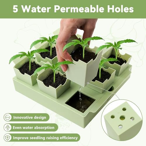 2 Pack Seed Starter Trays, Lift-Out Handles, Easy Transplanting - Image 6
