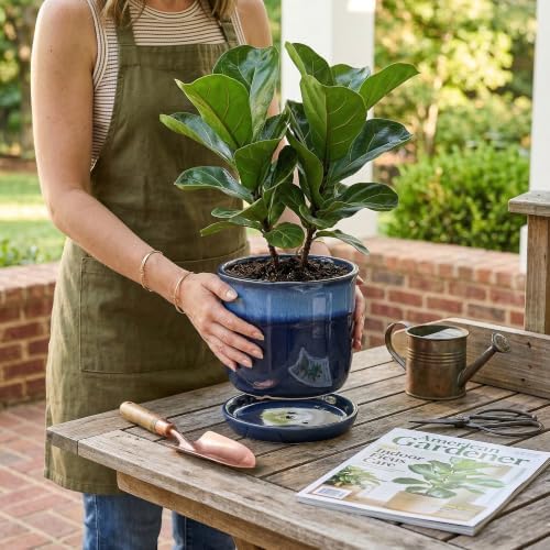 8 Inch Plant Pot: Ceramic Planter with Drainage Hole & Saucer - Flowerpot for Indoor & Outdoor Plants with Separate Tray for Home & Office - Blue - Image 2