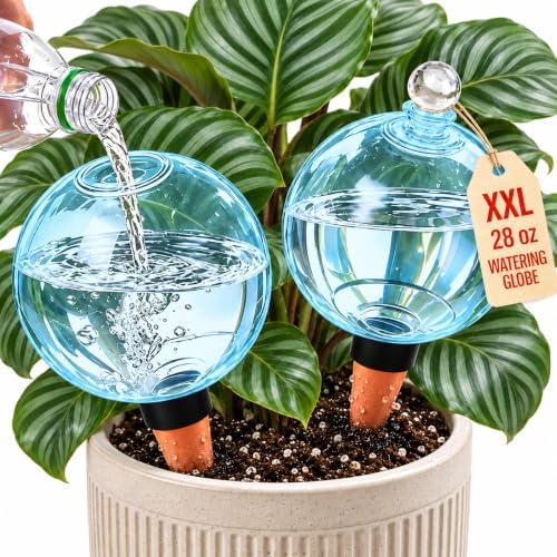 2 Pack 28 oz XXL Extra Large Self Watering Globes to 3+ Weeks Watering by Unknown