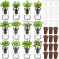 Teenyyou 12 Set Hydroponic Garden Mason Jar Kit Self Watering Herb Hydroponic Planter Starter Kit with Net Pot Garden Flower Plant Growing Gift for Indoor Herbs Windowsill Gardening by Teenyyou