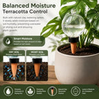 Self Plant Watering Globes, Automatic Slow Irrigation System Globes, 4PC Mixed - Image 4