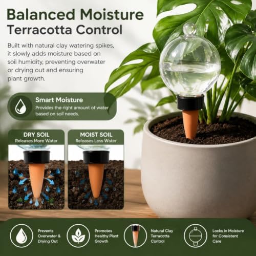 Self Plant Watering Globes, Automatic Slow Irrigation System Globes, 4PC 750ml - Image 4