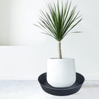 25 Inch Extra Large Planter Saucer, Extra-Deep 4.25 in Black Drip Trays for Flower Pot, Heavy Duty Drainage Tray Indoors No Holes, Plastic Plant Plate Water Catcher for Pots Base 19 20 21 22 in - Image 6