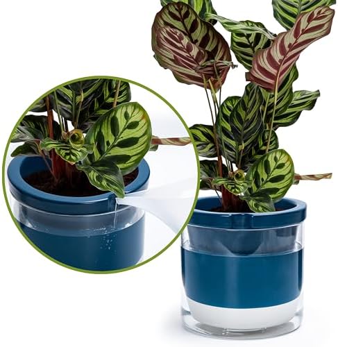 D'vine Dev Self-Watering Blue Terracotta Planter Pot, 8 in, 37-X-C-4 - Image 7
