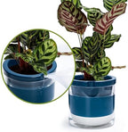 D'vine Dev Self-Watering Blue Terracotta Planter Pot, 8 in, 37-X-C-4 - Image 7