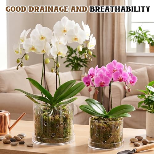 6/7 Inch Clear Acrylic Orchid Planter Pot with 360° Round Holes & Tray - Image 6