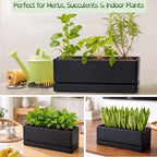 D'vine Dev Rectangular Planter, 12 x 4.5 in, Black, 76-X-B-1 - Image 5