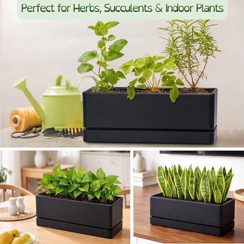 D'vine Dev Rectangular Planter, 12 x 4.5 in, Black, 76-X-B-1 - Image 5