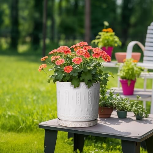 Eightpot Plant Drip Tray - Ceramic Plant Saucer for Outdoors 9.3 Inch Plant Tray for Indoors No Holes Plant Pot Saucer Plant Dishes to Catch Water Round Plant Drainage Trays, Cream White - Image 4