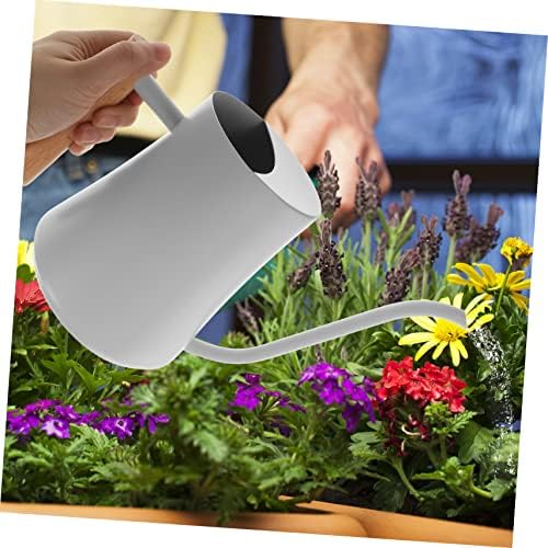 Mini Long Spout Watering Kettle Garden Plant Water Sprayer 1000ml Capacity - Image 3