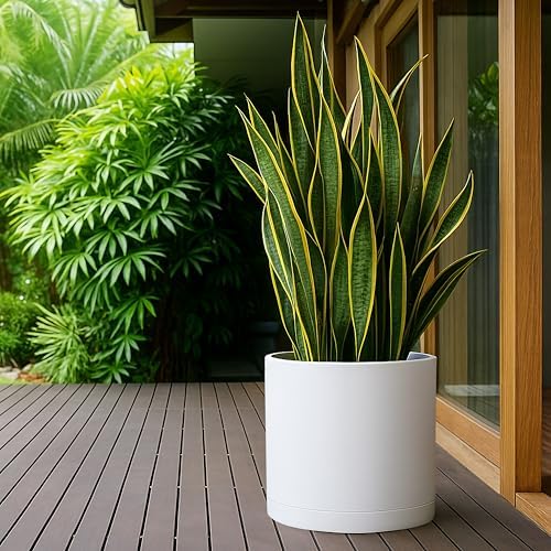 D'vine Dev Plastic Planter Pot with Saucer, 16 in, White, 74-X-A-5 - Image 3