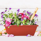 Window Box Planter,12Pack Plastic Vegetable Flower Planters Boxes - Image 2