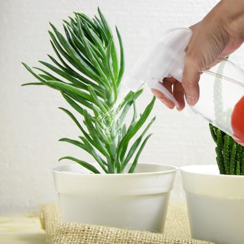 Cabilock 3 Pack 500ml Glass Spray Bottle with Silicone Base for Plants - Image 5