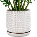 D'vine Dev Beaded Ceramic Pot with Saucer, 10 in, Smoked White, 27-C-P-1 by DvineDevPlanterPotsandStand