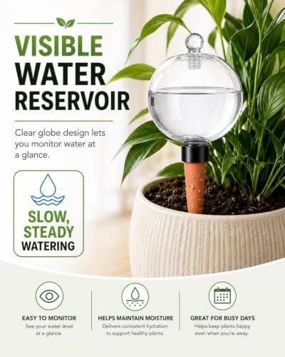 2 Pack Extra Large Plant Self Watering Globes, 26oz Automatic Waterer Bulbs - Image 2