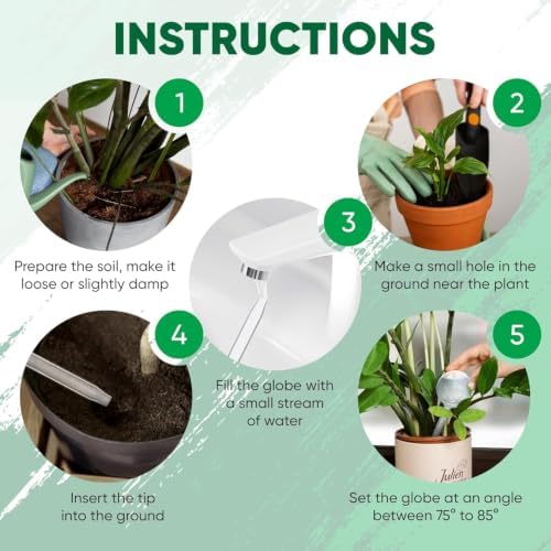 Clear Plant Watering Globes Set of 6 - Large Self Watering Globes for Indoor & Outdoor Plants - Automatic, Glass Watering Bulbs for Daily Use, Plant Watering Devices - Image 6