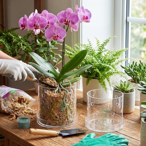 6/7 Inch Clear Acrylic Orchid Planter Pot with 360° Round Holes & Tray - Image 4