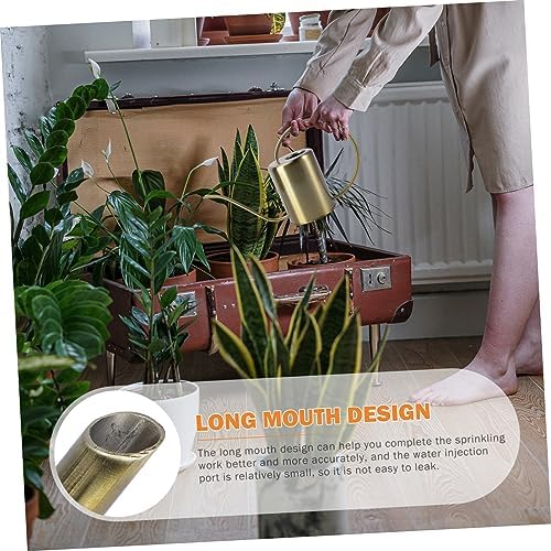 Stainless Steel Watering Pot 2000ml Long Spout Brass Garden Can - Image 5