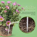 Automatic Plant Waterer Indoor | Drip Irrigation System with LED Display, Self-Priming Pump & 10 Drip Emitters - Image 4