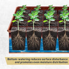 Kings County Tools Seed Starter Tray - Copper Metal Seedling Tray with 24 Tapered Plant Starter Pots for Planting Seeds-Germination Kit for Sprouting - Greenhouse Accessories and Gardening Gifts - Image 4